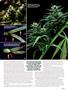 Page: - 111 | High Times