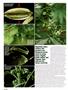 Page: - 112 | High Times