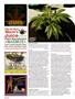 Page: - 122 | High Times