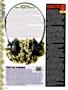 Page: - 16 | High Times