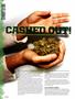 Page: - 18 | High Times