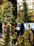 Page: - 37 | High Times