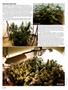 Page: - 48 | High Times