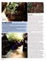 Page: - 50 | High Times