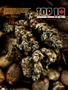Page: - 60 | High Times