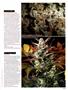 Page: - 61 | High Times