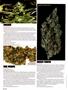 Page: - 66 | High Times