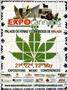 Page: - 99 | High Times