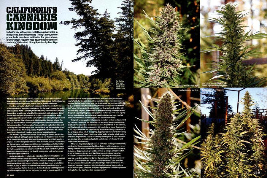 CALIFORNIA'S CANNABIS KINGDOM