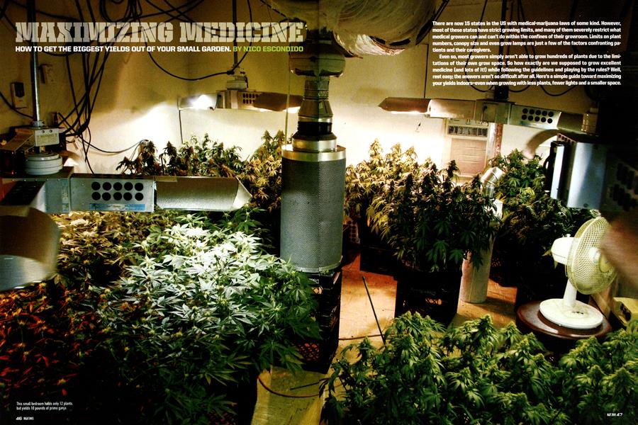 MAXIMIZING MEDICINE