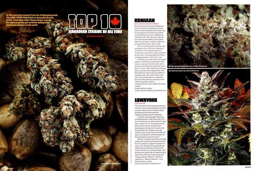 TOP 10 CANADIAN STRAINS OF ALL TIME