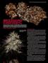 Page: - 110 | High Times