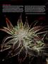 Page: - 111 | High Times