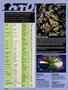 Page: - 20 | High Times