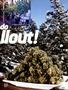 Page: - 37 | High Times