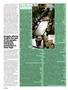 Page: - 38 | High Times