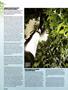 Page: - 48 | High Times