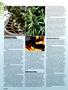 Page: - 52 | High Times