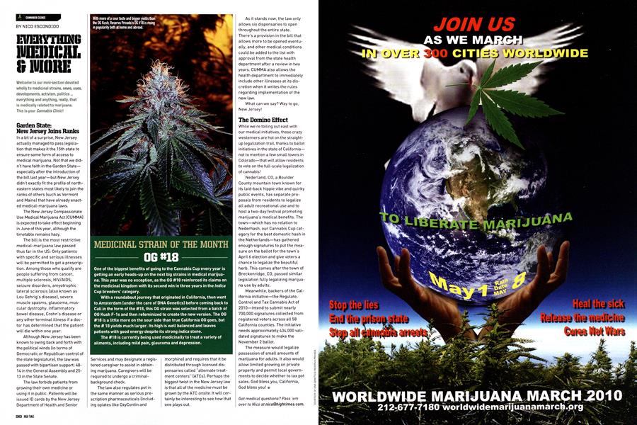 EVERYTHING MEDICAL & MORE