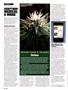 Page: - 106 | High Times