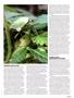 Page: - 119 | High Times
