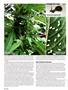Page: - 120 | High Times