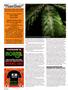 Page: - 122 | High Times
