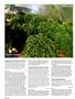Page: - 128 | High Times