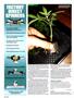 Page: - 130 | High Times