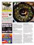 Page: - 132 | High Times