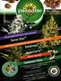 Page: - 25 | High Times