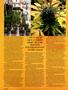 Page: - 40 | High Times