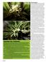 Page: - 46 | High Times