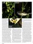 Page: - 50 | High Times
