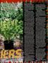 Page: - 55 | High Times