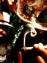 Page: - 88 | High Times