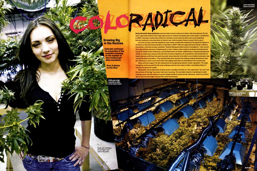 COLORADICAL