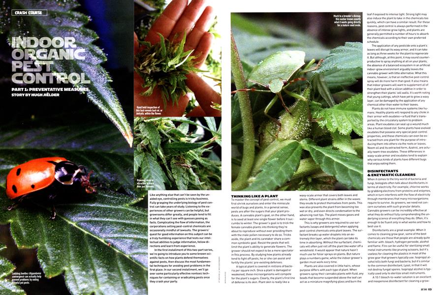 INDOOR ORGANIC PEST CONTROL