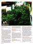 Page: - 128 | High Times