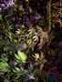 Page: - 144 | High Times