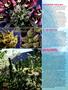 Page: - 36 | High Times
