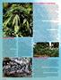 Page: - 38 | High Times