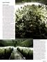 Page: - 67 | High Times