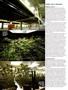 Page: - 68 | High Times