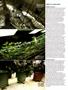 Page: - 70 | High Times