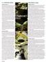 Page: - 76 | High Times