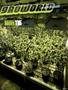 Page: - 97 | High Times