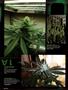 Page: - 100 | High Times