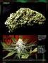 Page: - 102 | High Times