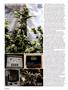 Page: - 120 | High Times